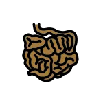 Intestine SVG Icon